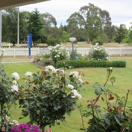 Culverden Court Motel エクステリア 写真